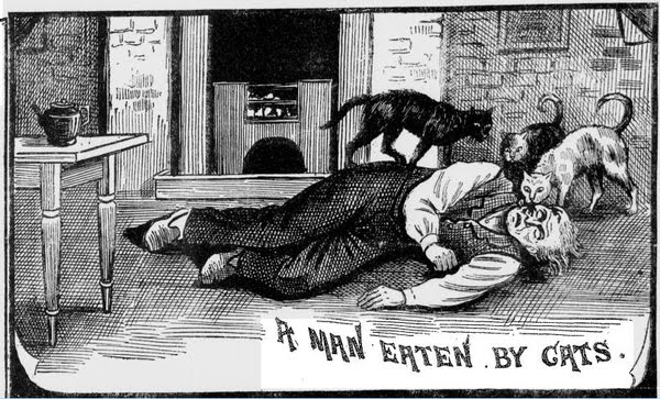Man-eaten-by-cats