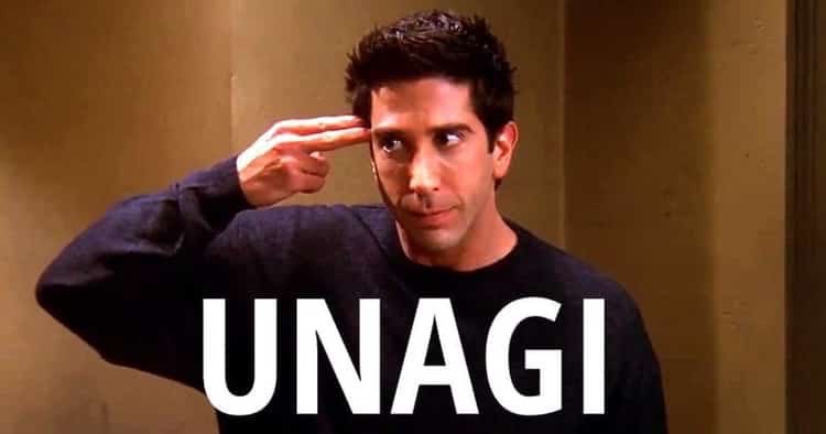 Unagi