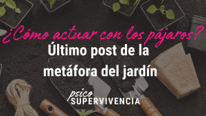 ¿Cómo actuar con los pájaros? Último post de la metáfora del jardín